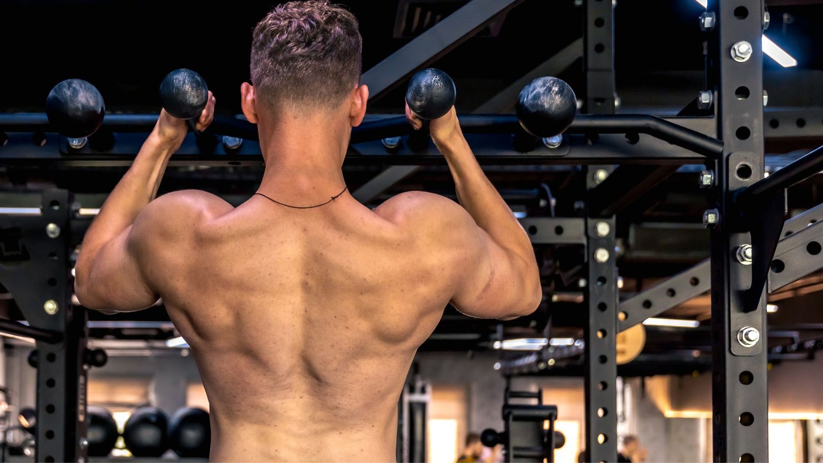 perfect back workout