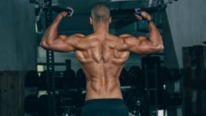 back and bicep routine