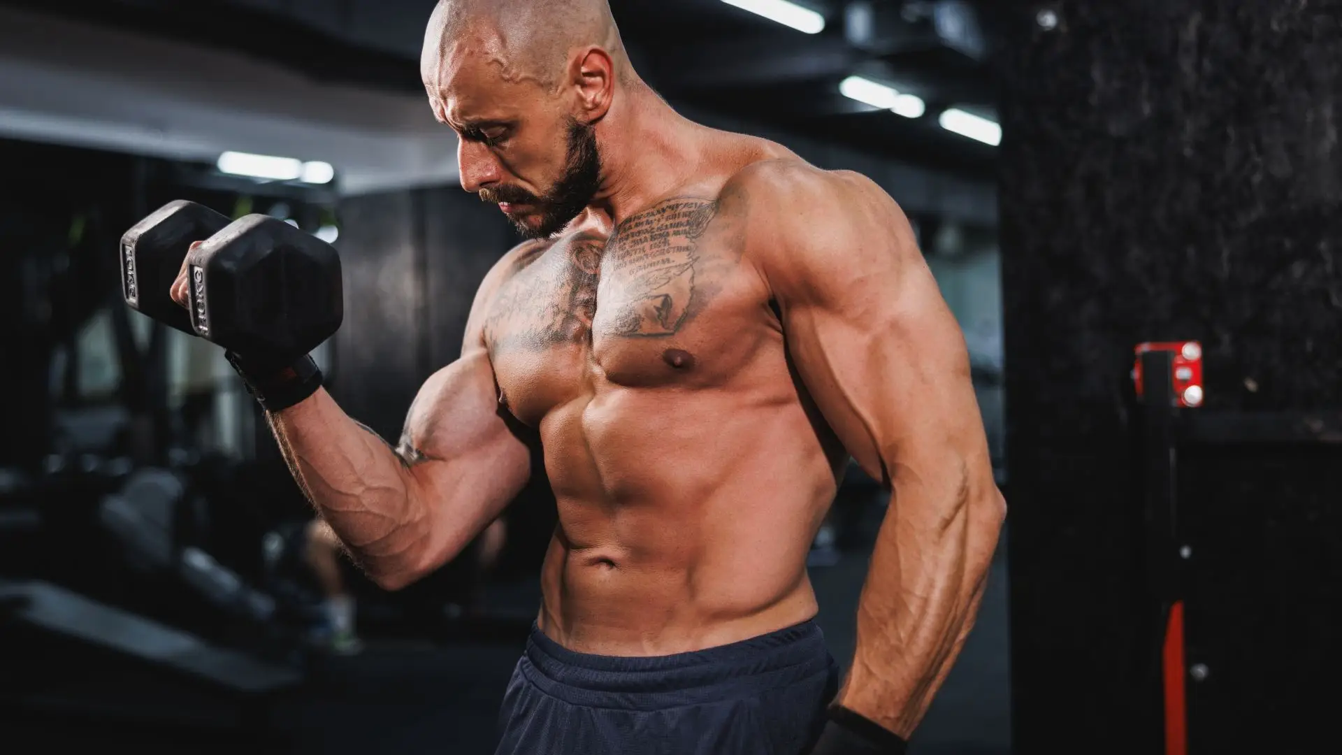 How Long Does It Take to Build Muscle?